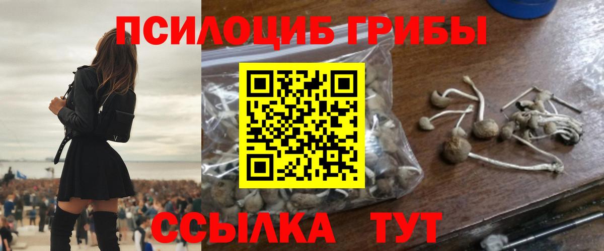 Псилоцибиновые грибы Psilocybe Реж