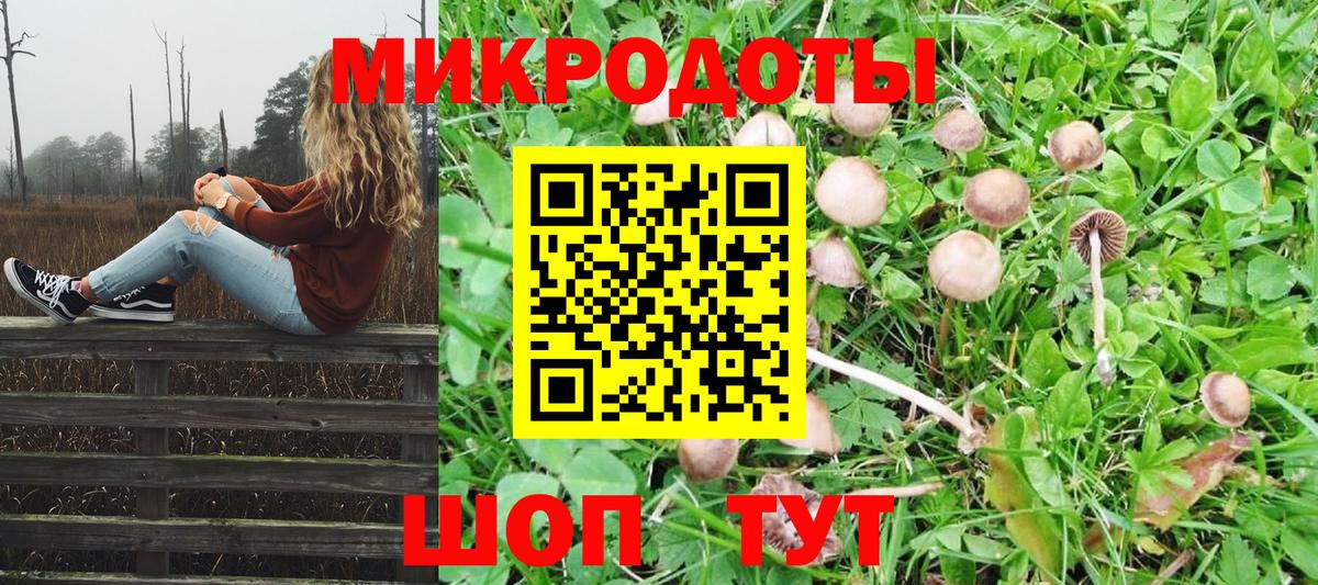 Галлюциногенные грибы Psilocybine cubensis  цена наркотик  Вход с VPN  Реж  Галлюциногенные грибы MAGIC MUSHROOMS 